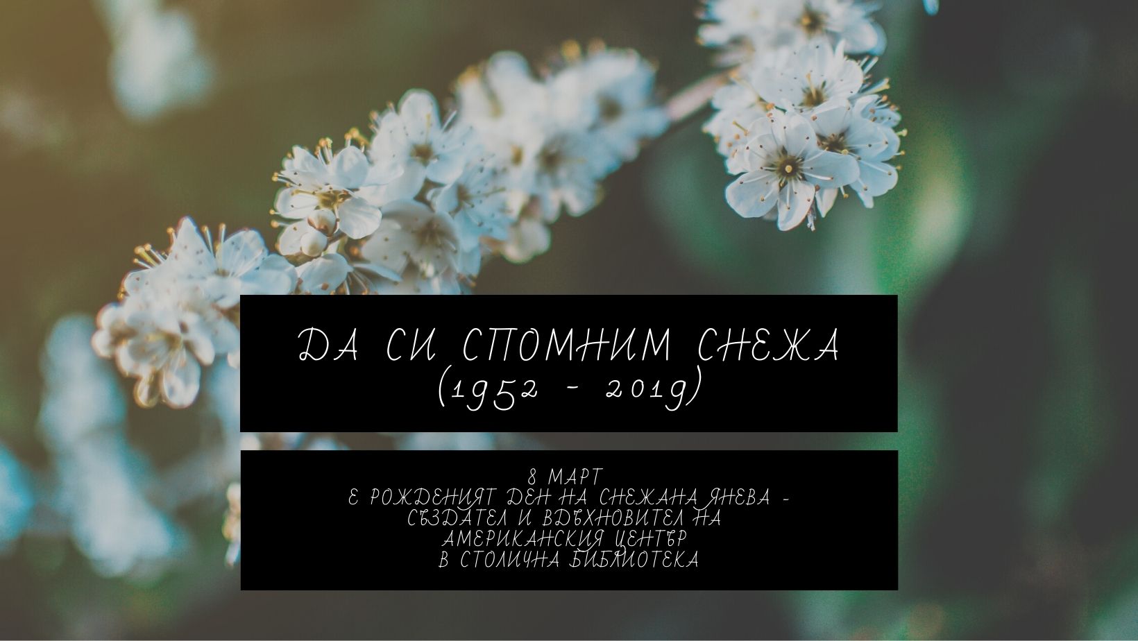 Виртуална изложба "Да си спомним Снежа"