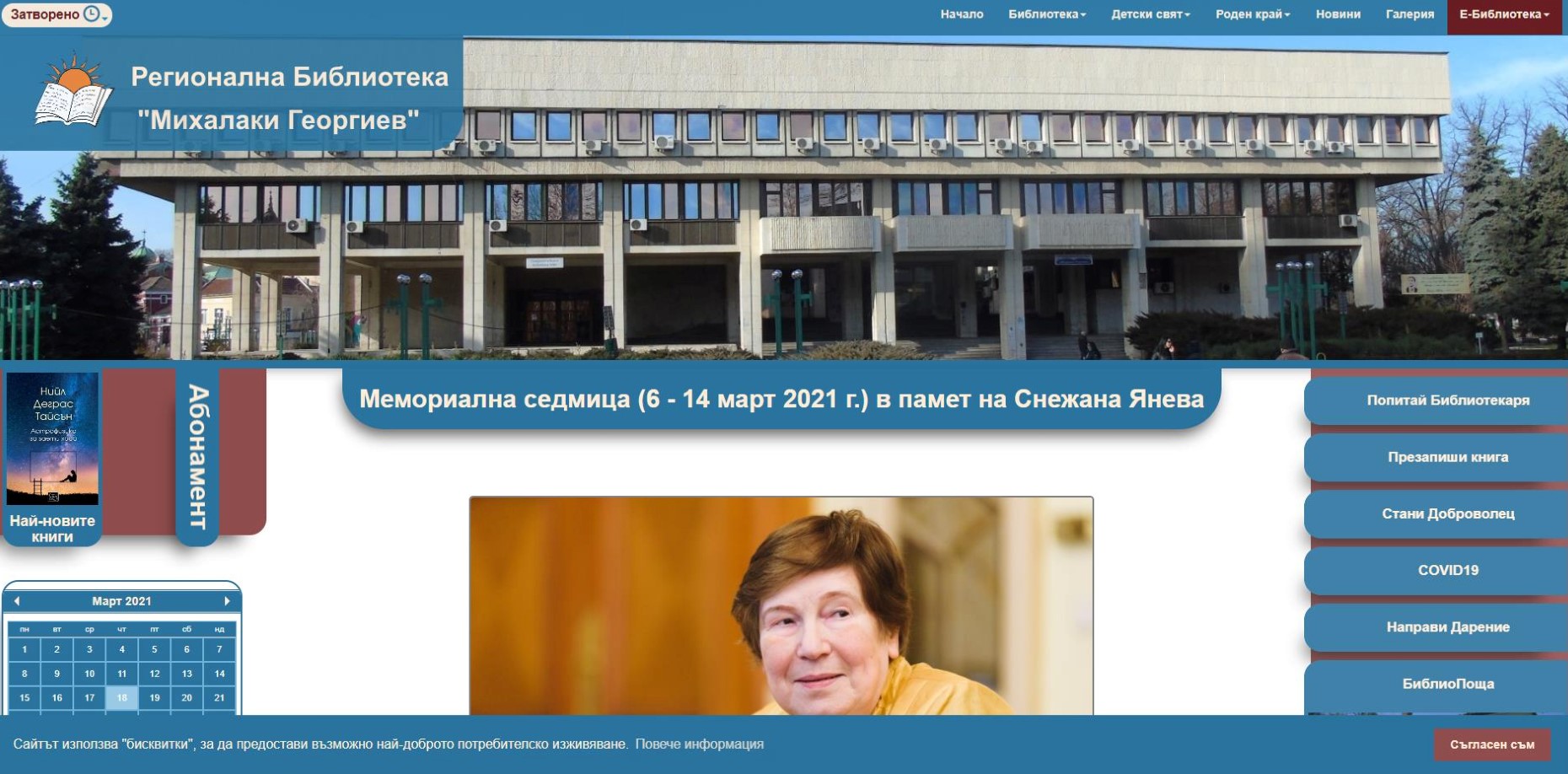 vidin website