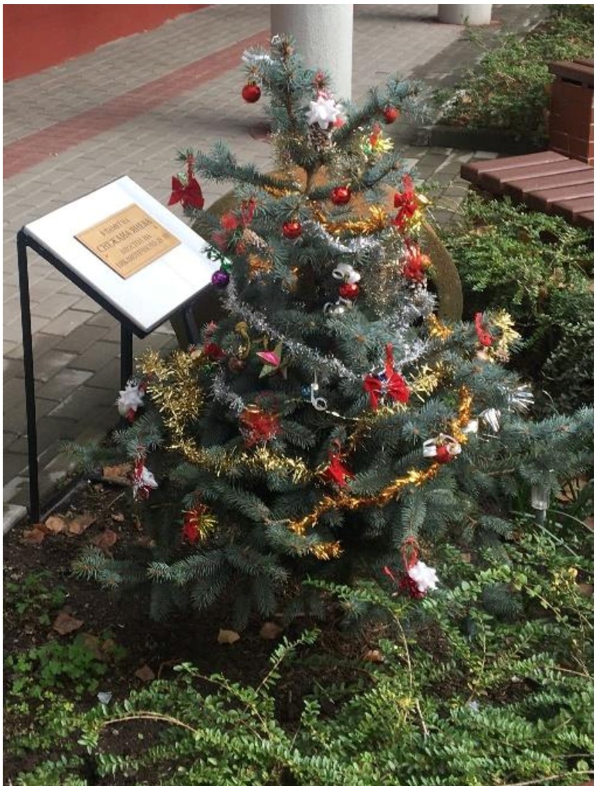 коледно борче 2